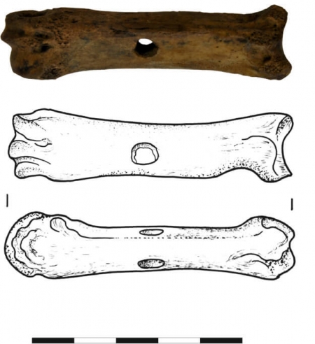 Wykonana z naturalnej kości zwierzęcej, z wywierconym pośrodku otowrem. Służyła najpewniej do spinania szat wierzchnich. X/XI wiek (opr. S. Słowiński)